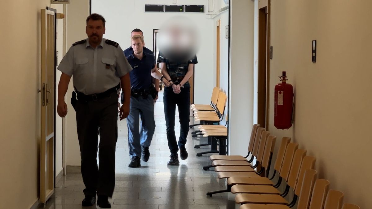 Školákovi, který chtěl zabít osm spolužáků ve škole v Děčíně, zpřísnili trest. Do vězení půjde na 2,5 roku